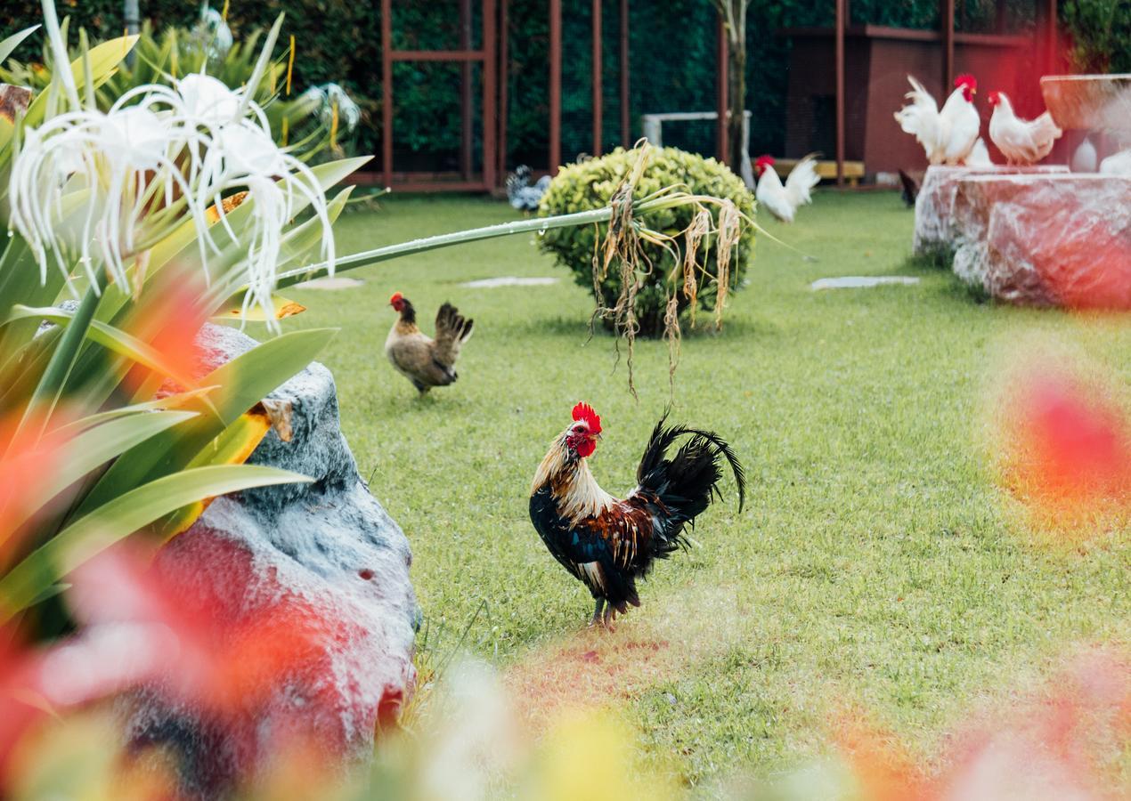 Rai Fahpratan Home And Garden Ban Pak Ngam  Esterno foto