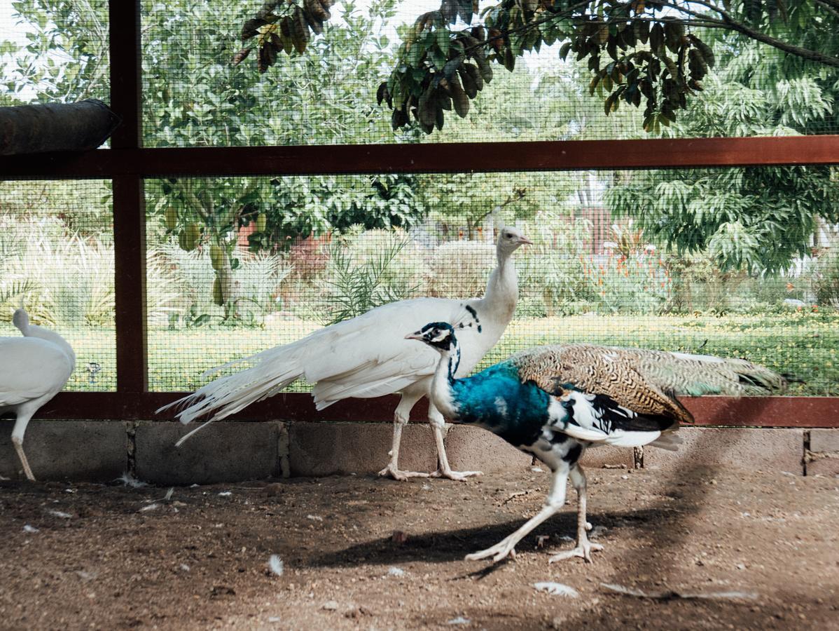 Rai Fahpratan Home And Garden Ban Pak Ngam  Esterno foto